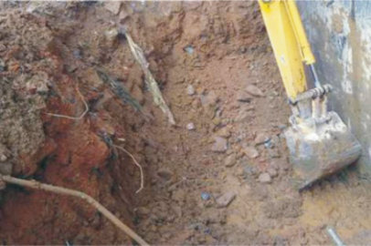 項(xiàng)目需求